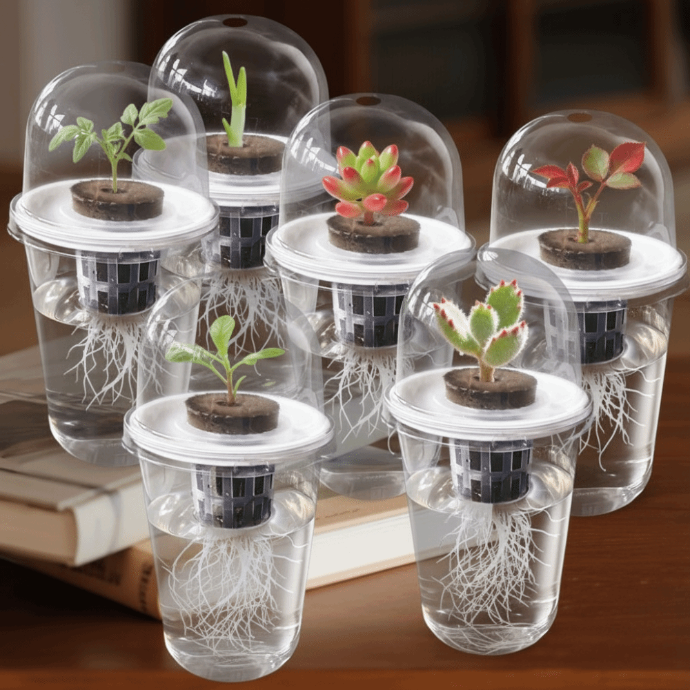 Seed Starter Trays - 1-5pc Visible Clear Plants Germination Cup