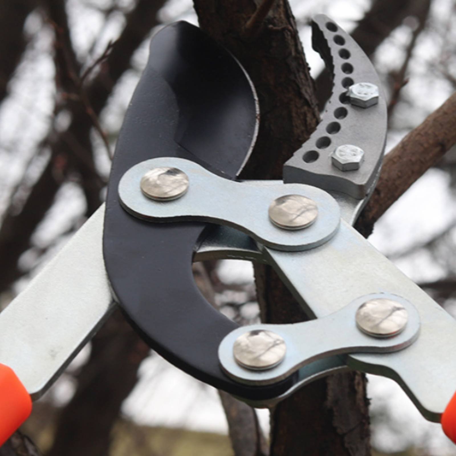 Gardening Tool - Telescopic Branch Pruners Sharp Blade Sturdy