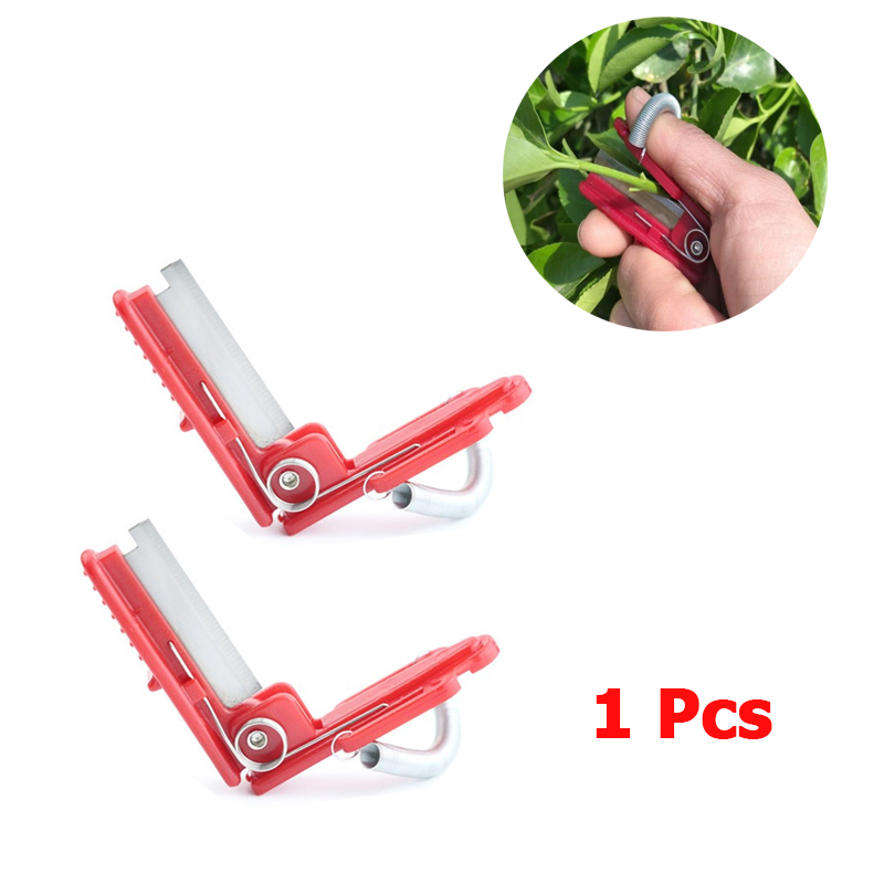 Vegetable Thump Knife Separato - огляд і ціна Harvest Knife Garden