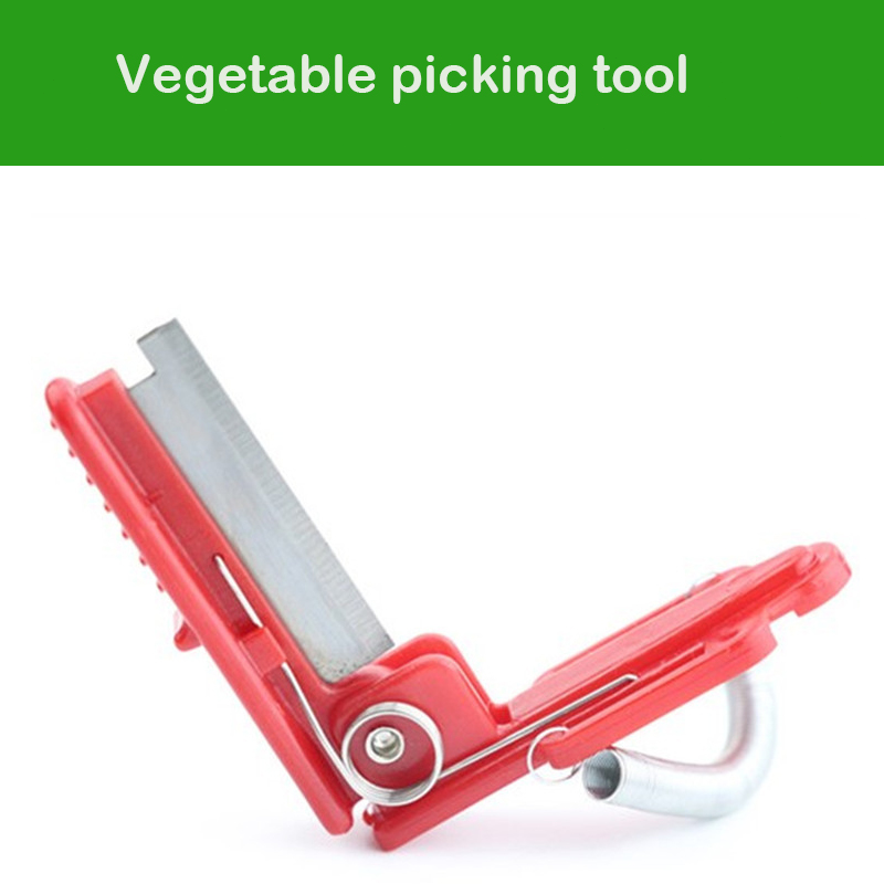Vegetable Thump Knife Separato - огляд і ціна Harvest Knife Garden