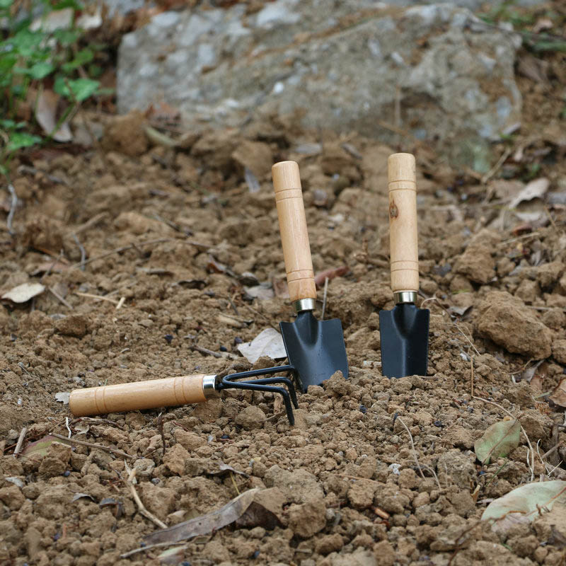 3Pcs/Set Mini Garden Tool Set  - огляд і ціна Gardening Tools Vegetables