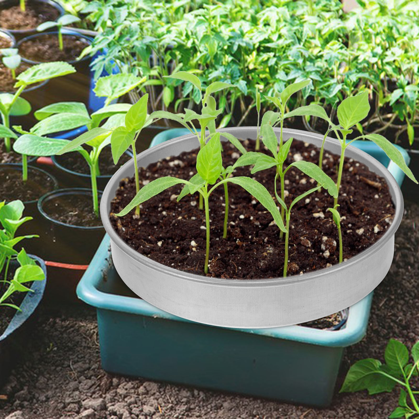 1Set Germination Tray Stainles - огляд і ціна Seed Starter Trays