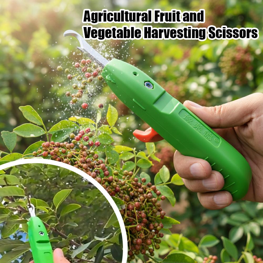 Fruit And Vegetable Picking Sh - огляд і ціна Gardening Tools Vegetables