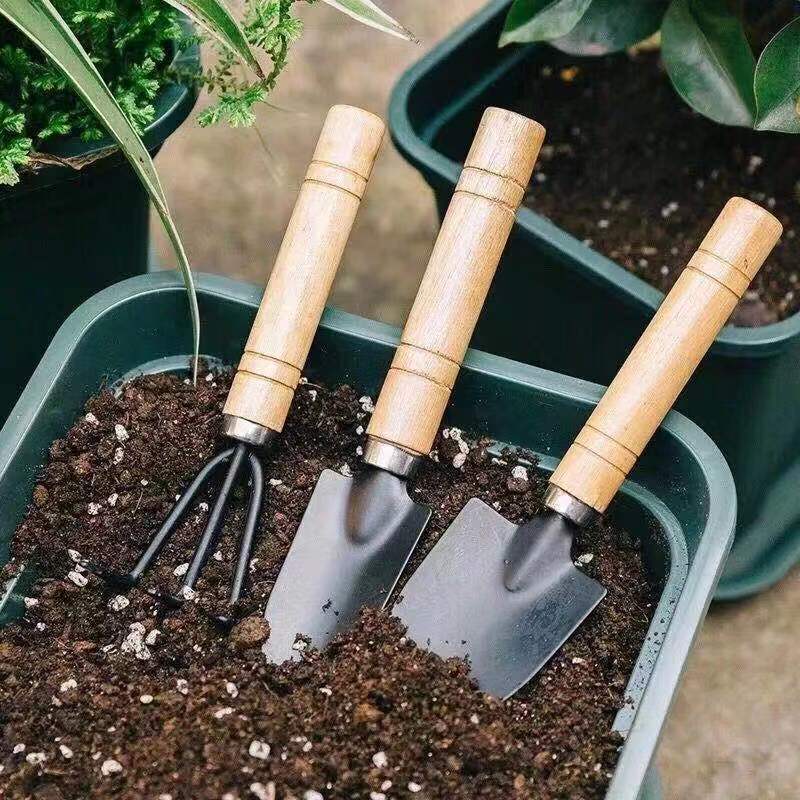 3Pcs Mini Gardening Tool Set w - огляд і ціна Gardening Tools Shovel