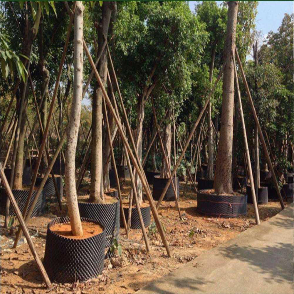 Grow Container Garden Tree Bon - огляд і ціна Gardening Tool