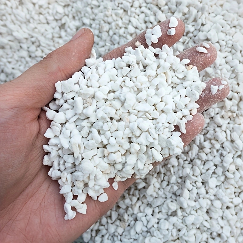 1 Pack of 3-6mm Horticultural  - огляд і ціна Horticulture Soil Perlite