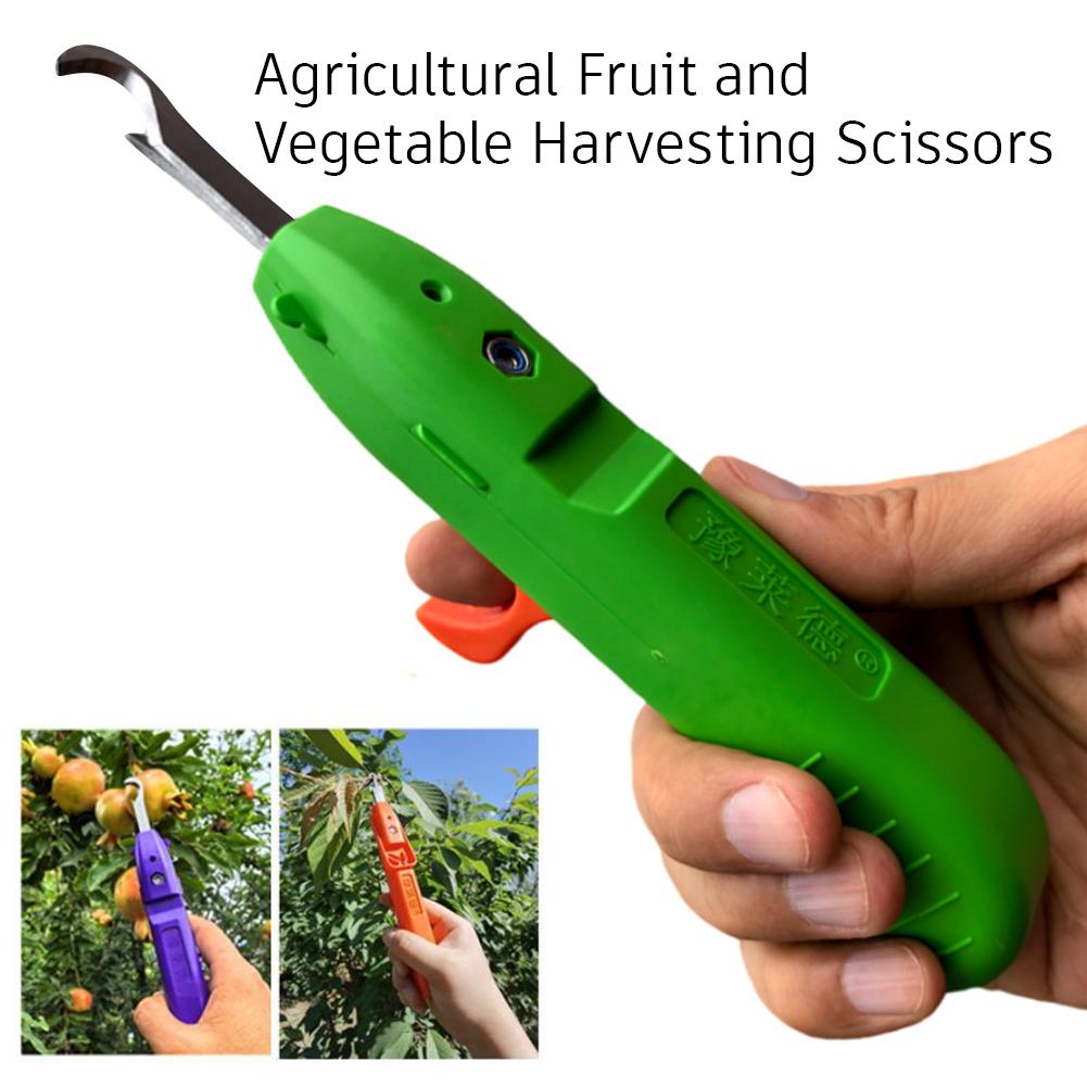 Portable Fruit Vegetable Quick - огляд і ціна Gardening Tools Vegetables