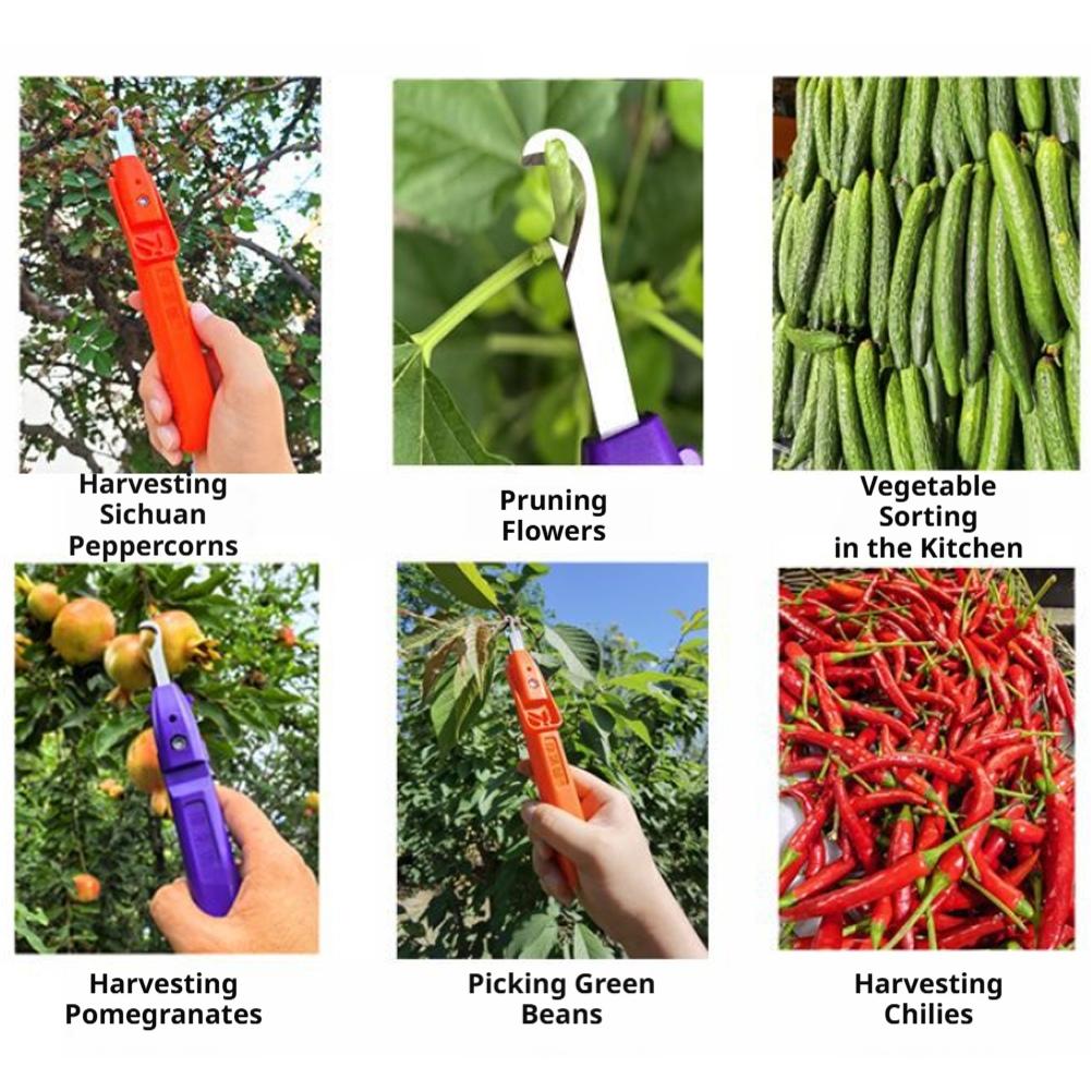 Portable Fruit Vegetable Quick - огляд і ціна Gardening Tools Vegetables