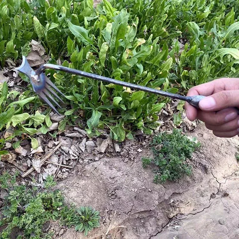 Garden Weeders Grass Hand Weed - огляд і ціна Gardening Tools To Remove Weeds