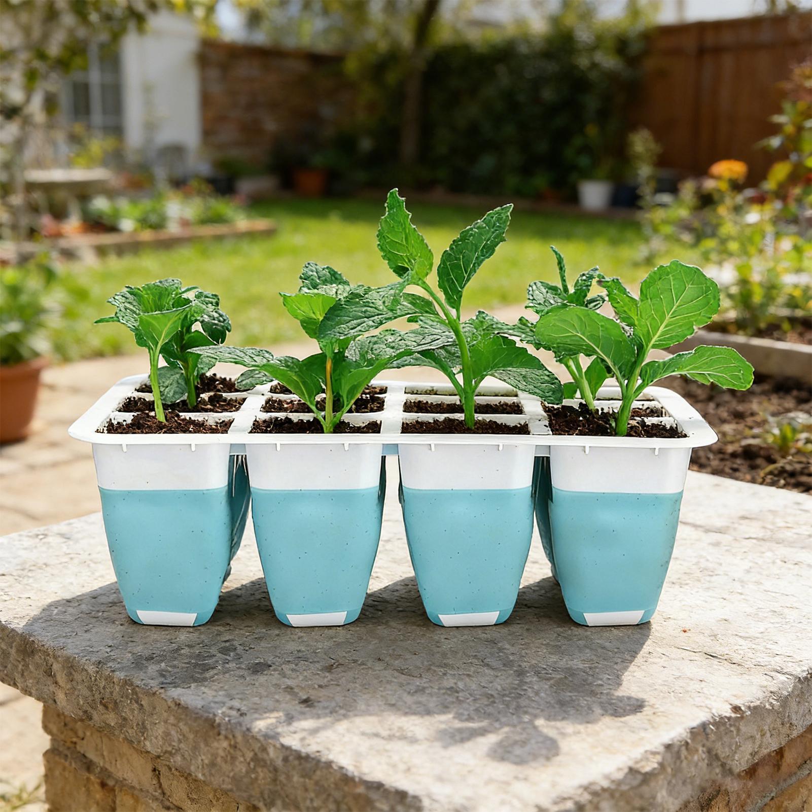 5 Pack Silicone Seed Starter T - огляд і ціна Seed Starter Trays
