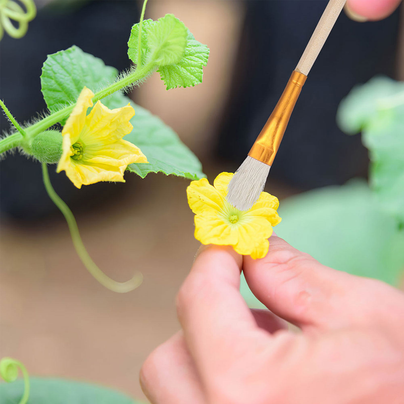 16Pcs Flower Pollinator Brush  - огляд і ціна Gardening Tools Vegetables
