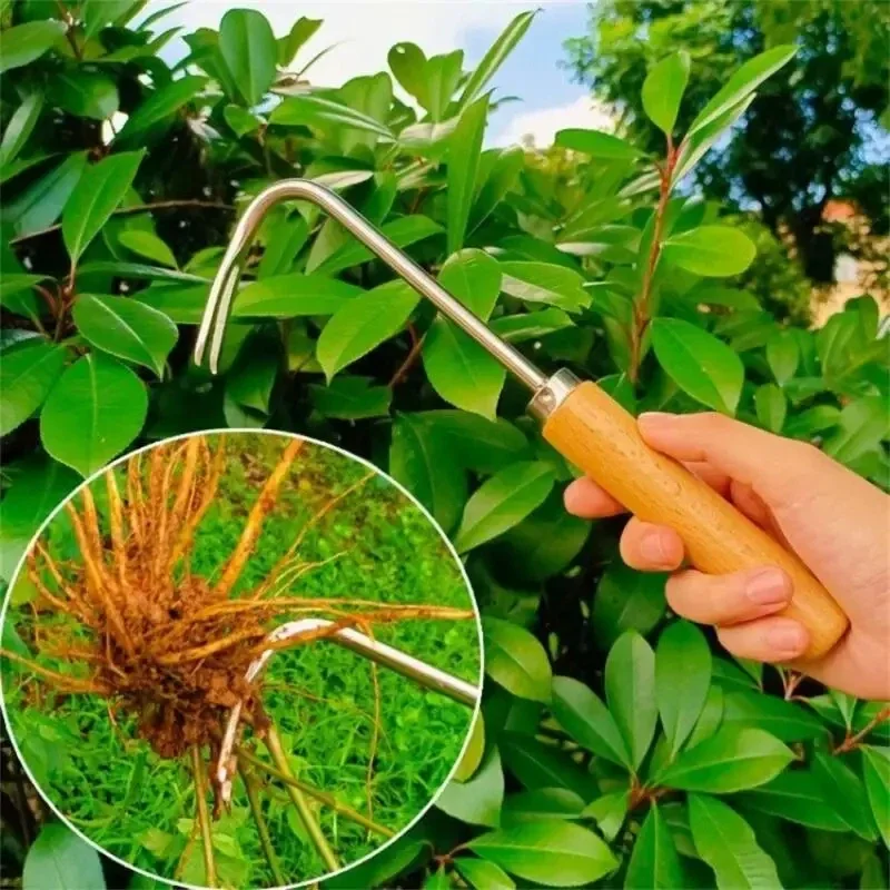 Stainless Steel Gardening Weed - огляд і ціна Gardening Tools To Remove Weeds