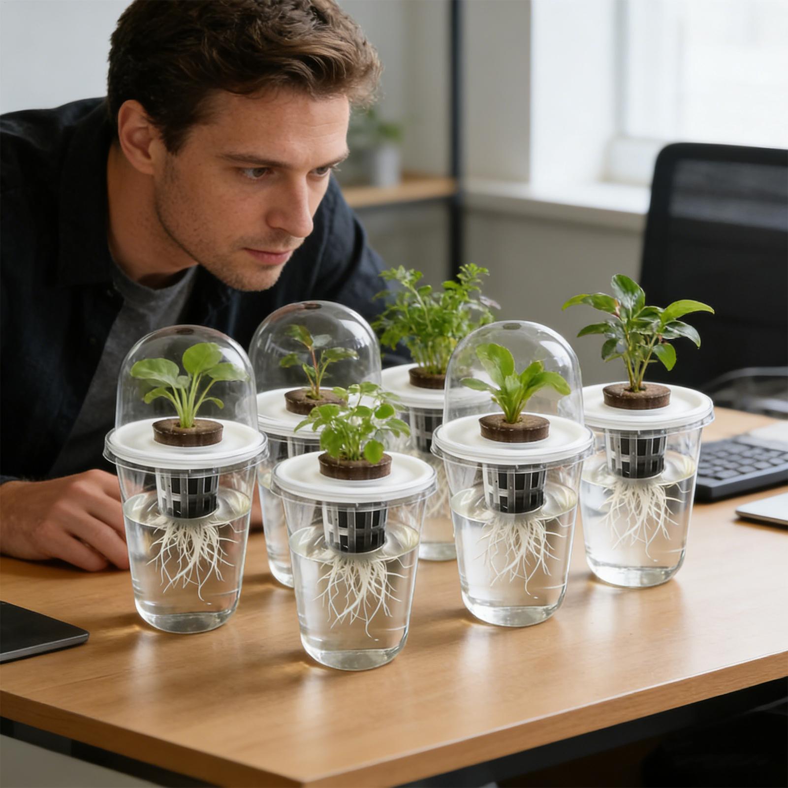1-5pc Visible Clear Plants Ger - огляд і ціна Seed Starter Trays