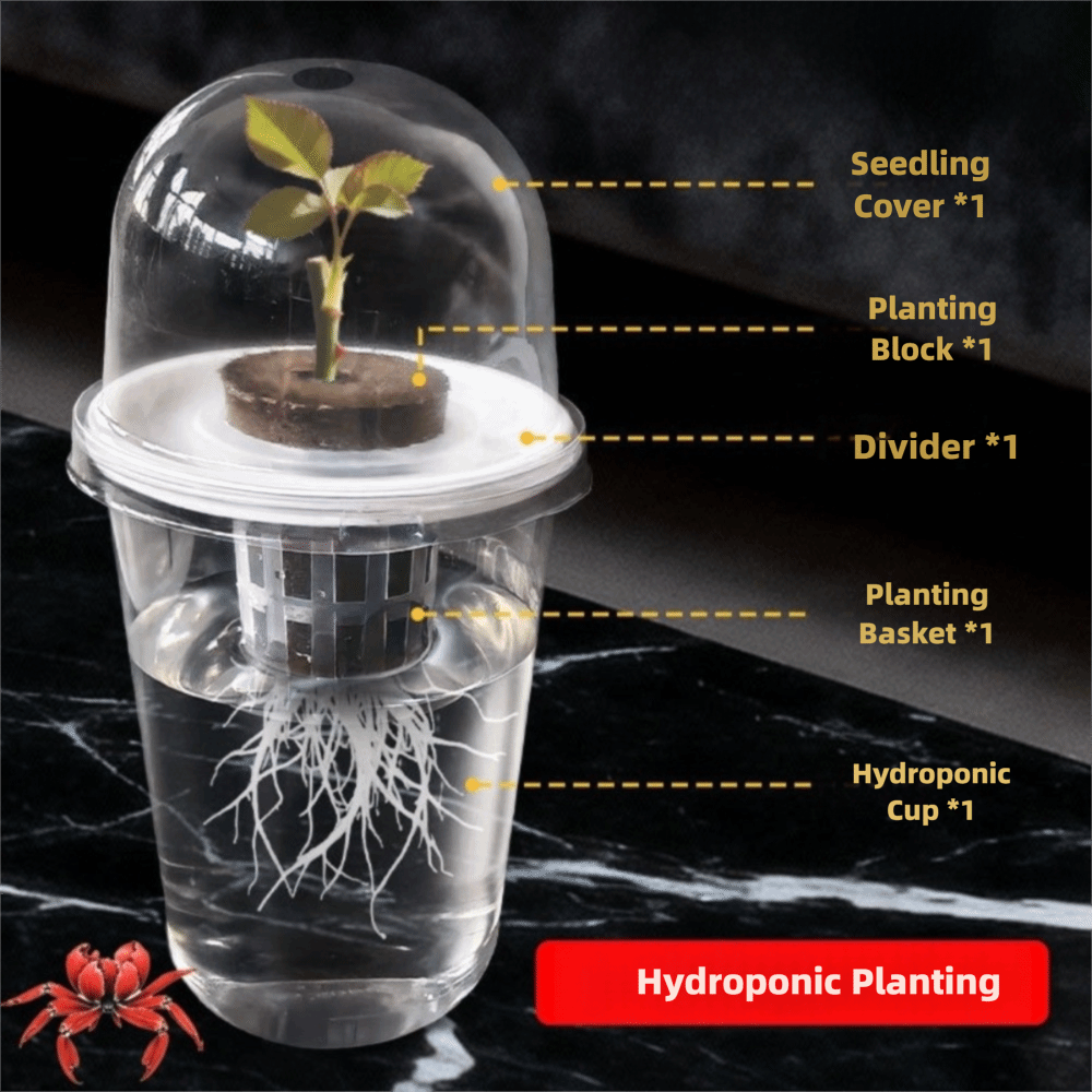 1-5pc Visible Clear Plants Ger - огляд і ціна Seed Starter Trays