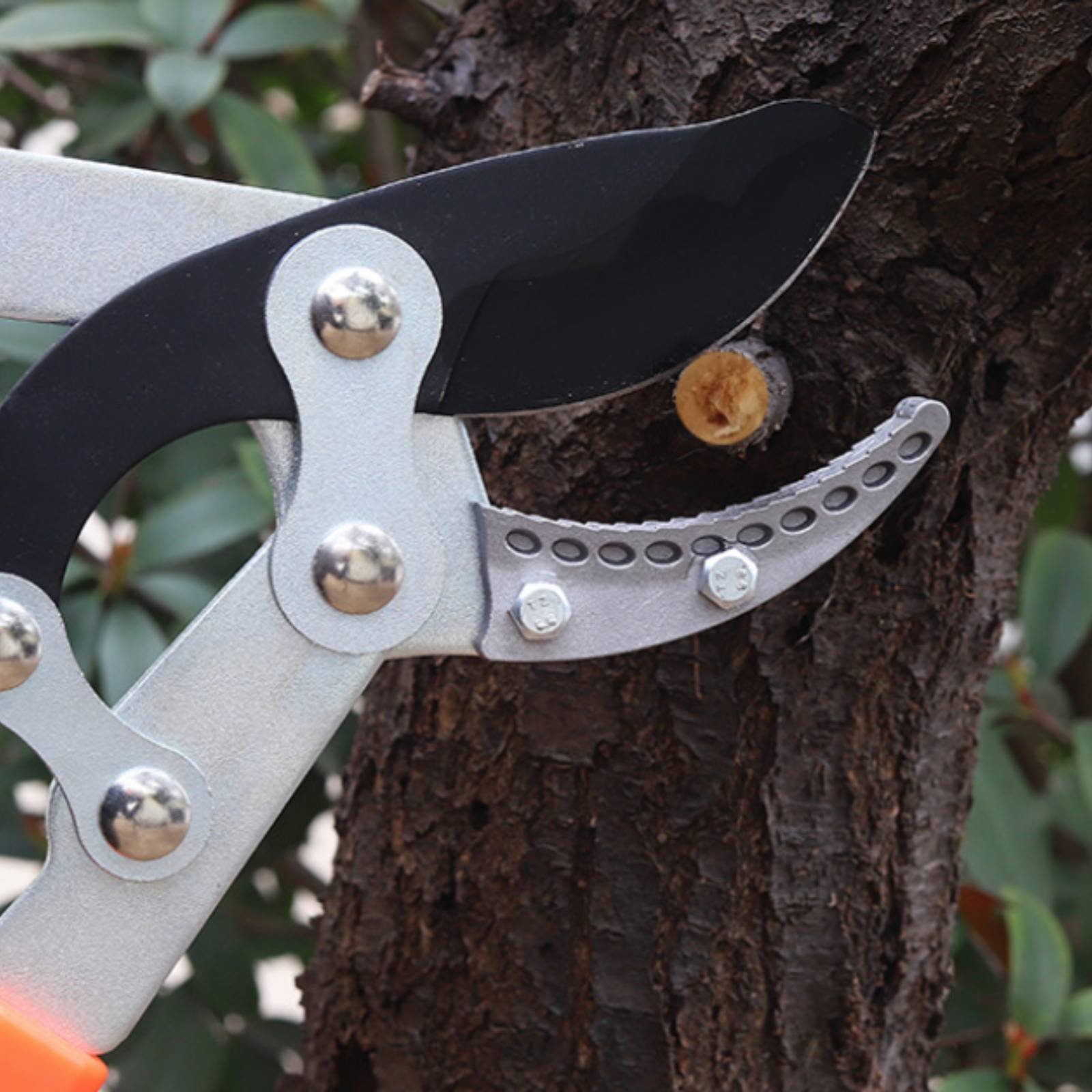 Telescopic Branch Pruners Shar - огляд і ціна Gardening Tool