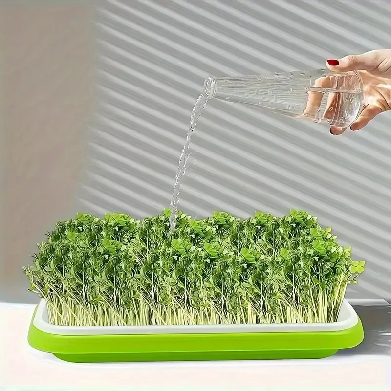 Latest Models Seedling Tray Su - огляд і ціна Gardening Tools Vegetables