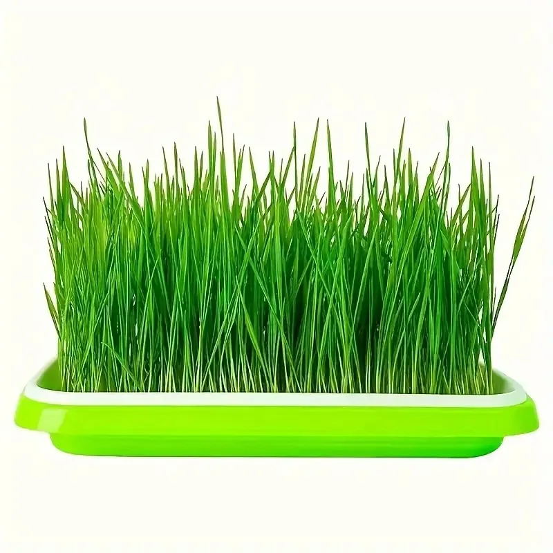 Latest Models Seedling Tray Su - огляд і ціна Gardening Tools Vegetables