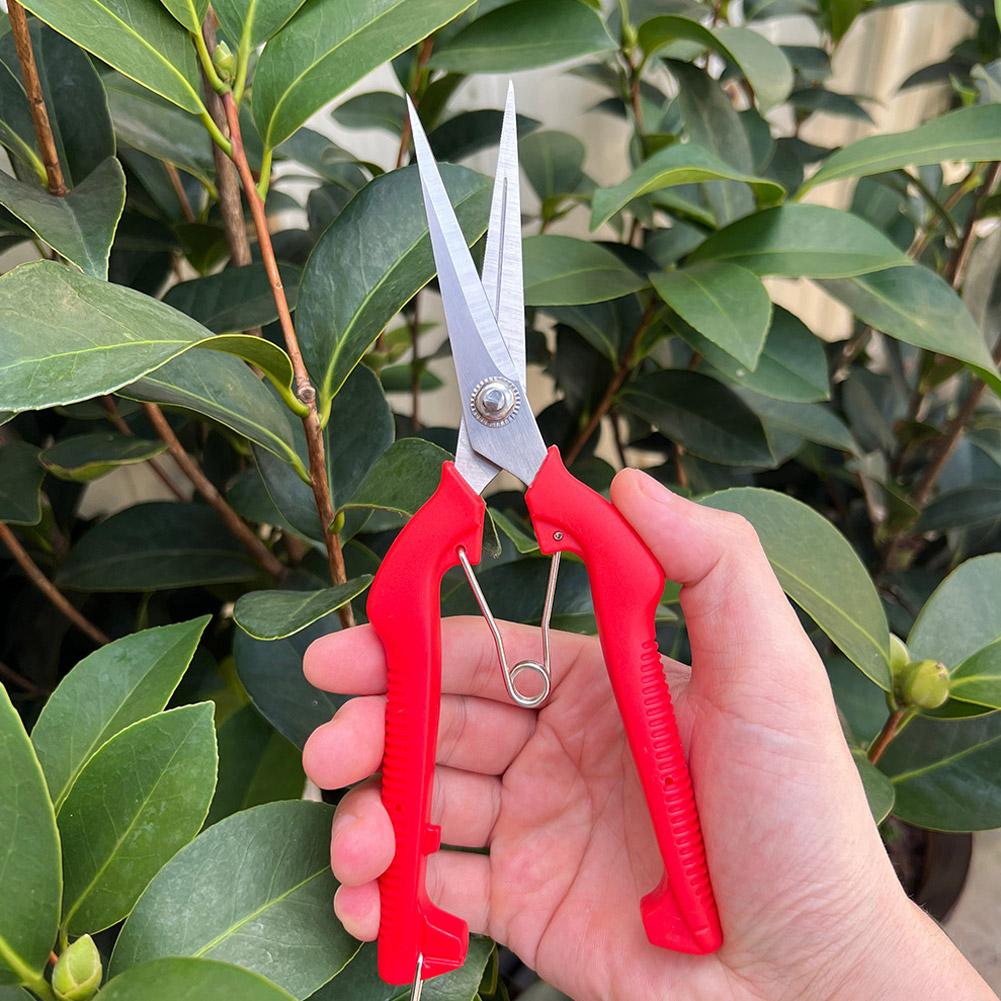 Pro Garden Pruning Shears Leng - огляд і ціна Gardening Tools Vegetables