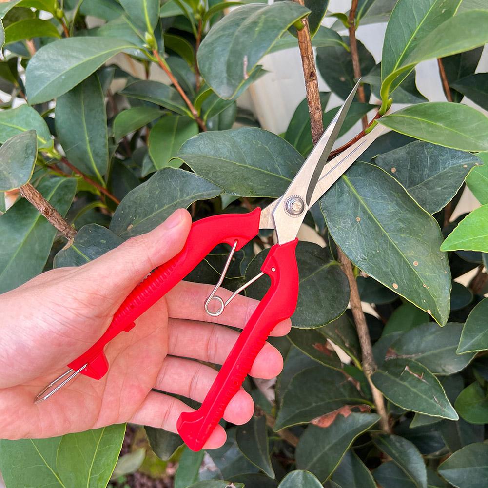 Pro Garden Pruning Shears Leng - огляд і ціна Gardening Tools Vegetables
