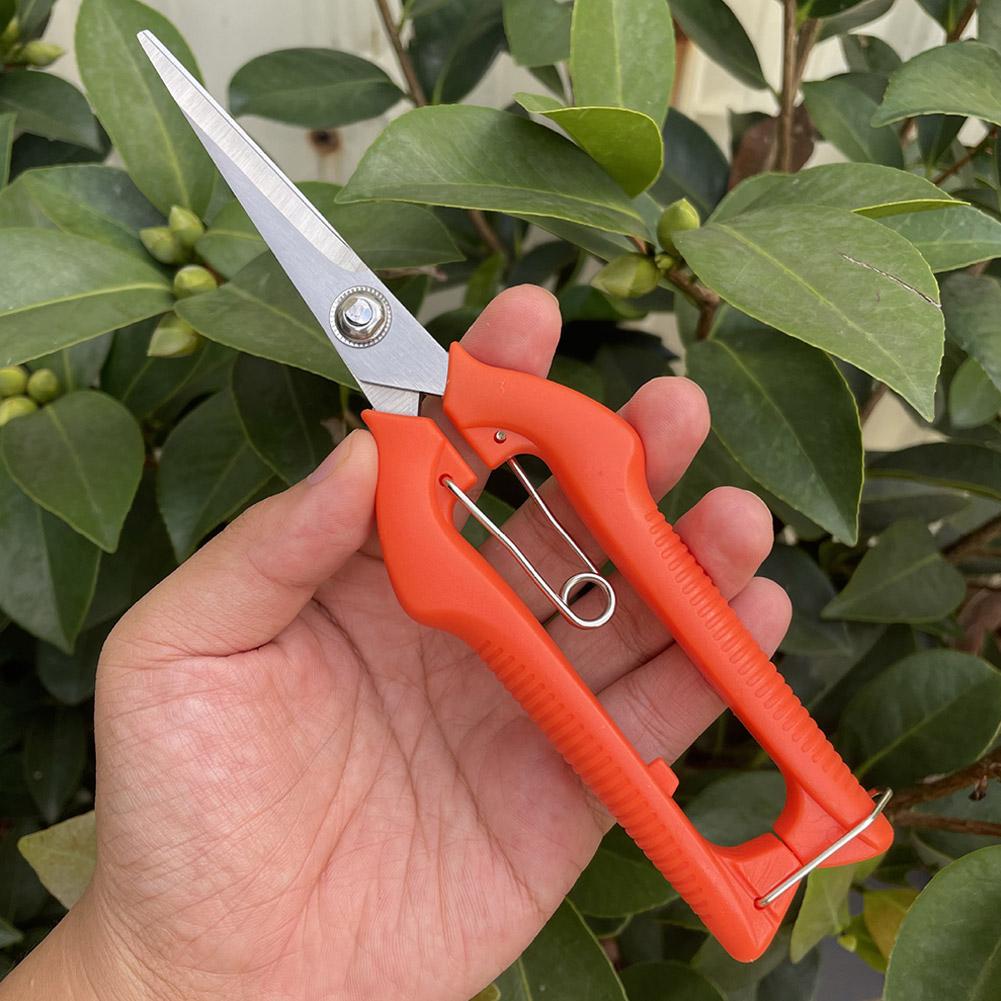 Pro Garden Pruning Shears Leng - огляд і ціна Gardening Tools Vegetables