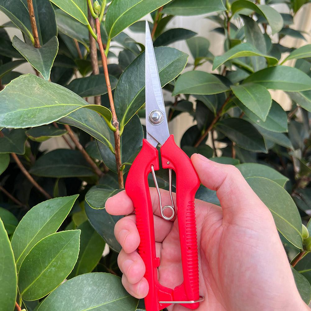 Pro Garden Pruning Shears Leng - огляд і ціна Gardening Tools Vegetables