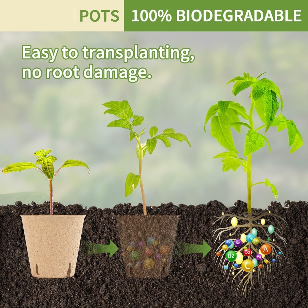 50PCS Biodegradable Plant Star - огляд і ціна Seed Starter Trays