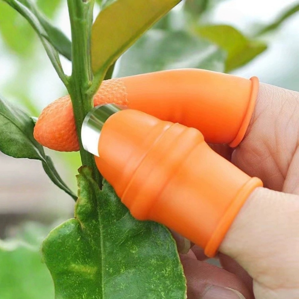 Vegetable Picking Stainless St - огляд і ціна Harvest Knife Garden